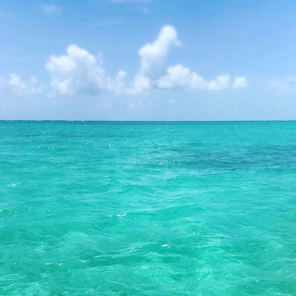 Lotus - Picture 4 of 7